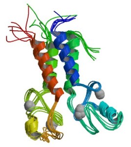 6a0133f15c7182970b014e87261a8e970d-800wi